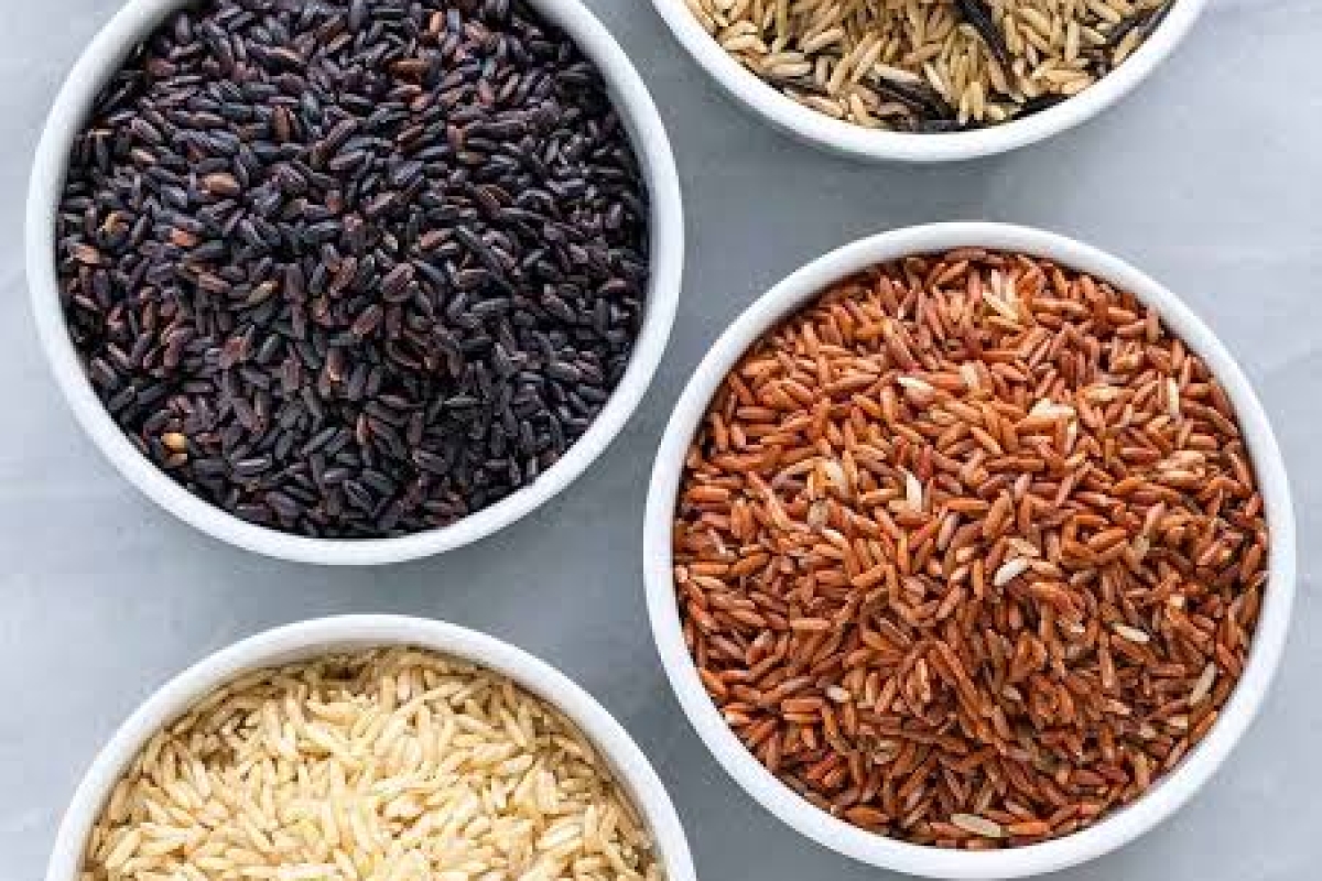 Desi rice exhibition in Mysuru city to highlight rice diversity at Nanjaraja Bahadur Choultry on May 18 and 19, 2024